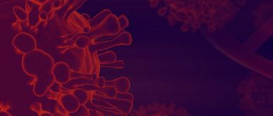 Country characteristics and Covid-19 mortality